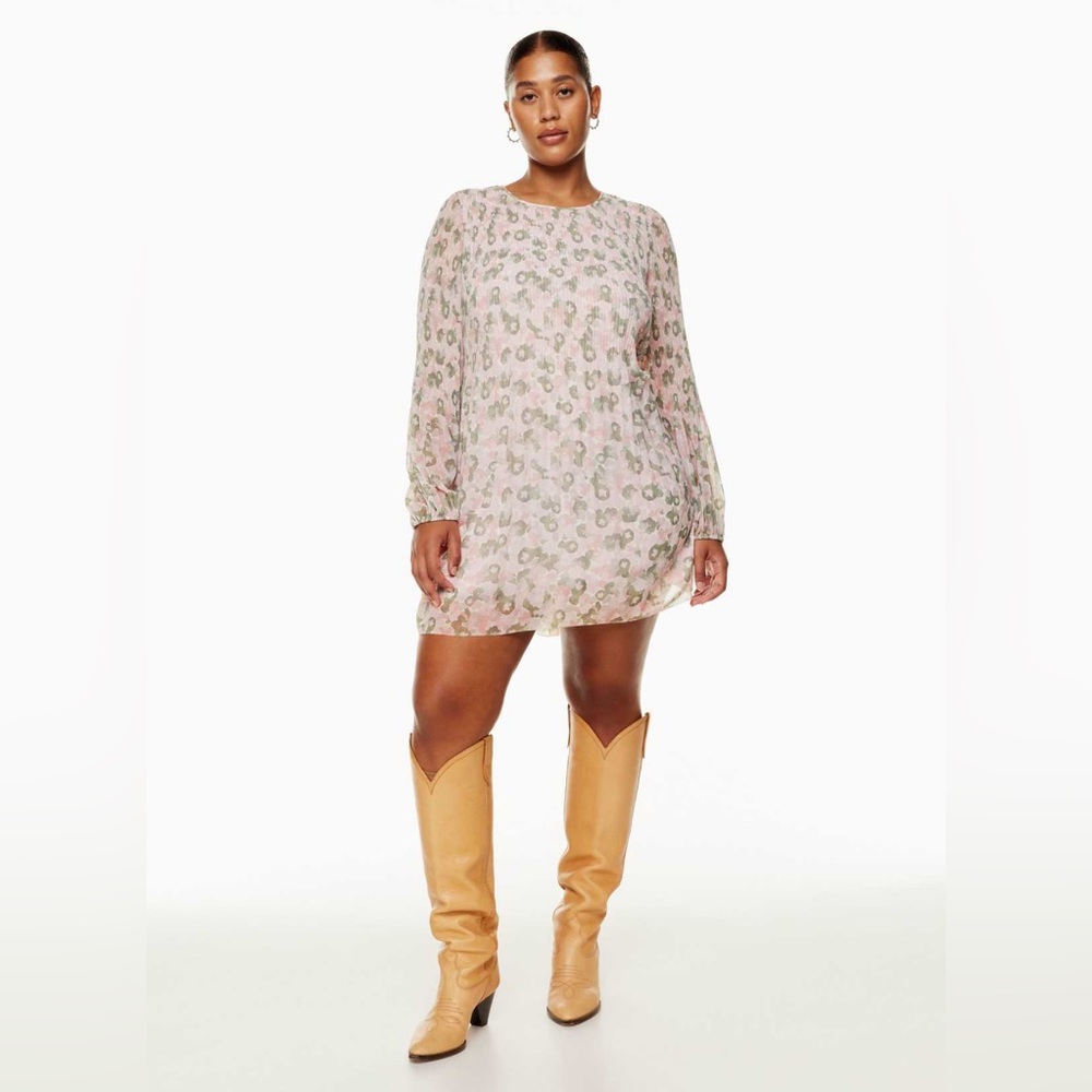 Aritzia Wilfred Daydreamer Floral Pleated Chiffon Long Sleeve Mini Dress
